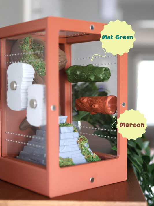 Ledge Jumping Spider - Wood Grain Effect