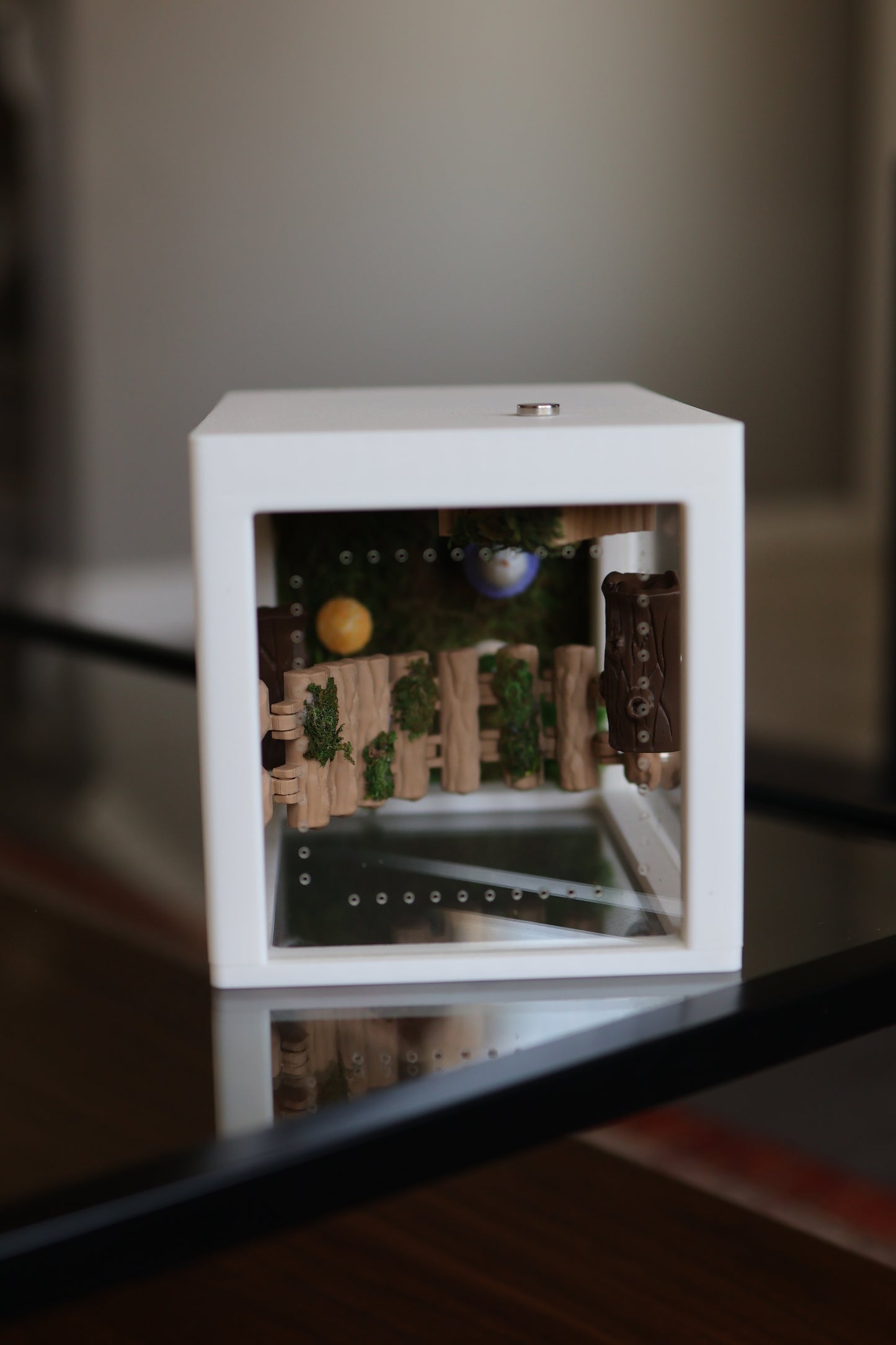 Jumping Spider Enclosure – Nature’s Refuge with Natural Moss
