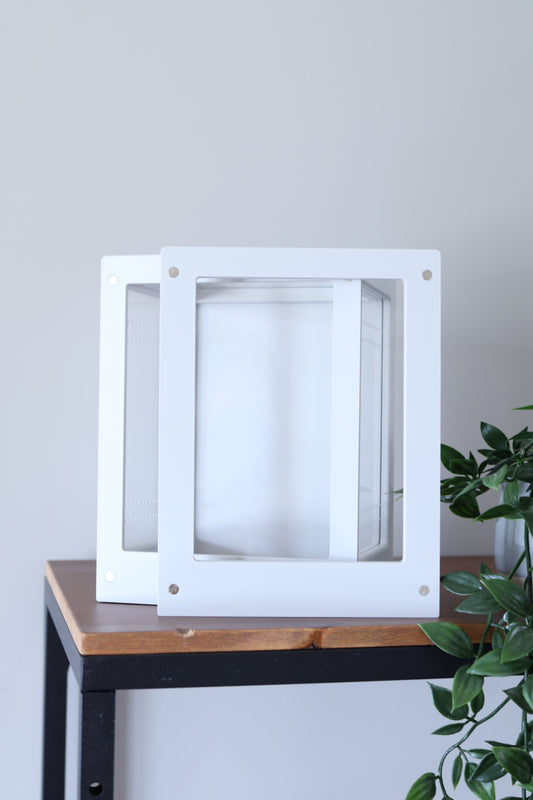 Large Jumping Spider Enclosure 5x6x8 in