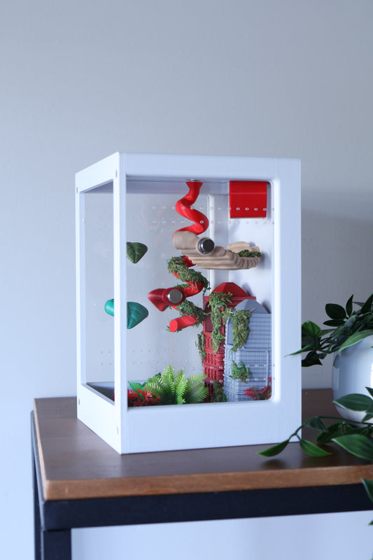 Jumping Spider Enclosure – Urban Jungle - 8.2x5.5x5.5 in