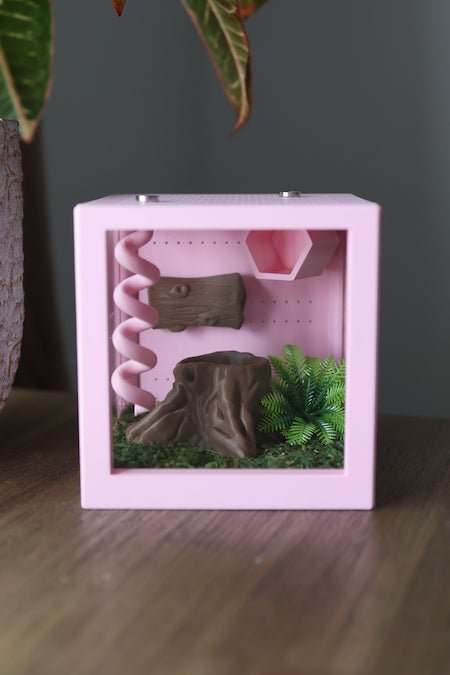 Decorated Jumping Spider Houses - Spooder Nook