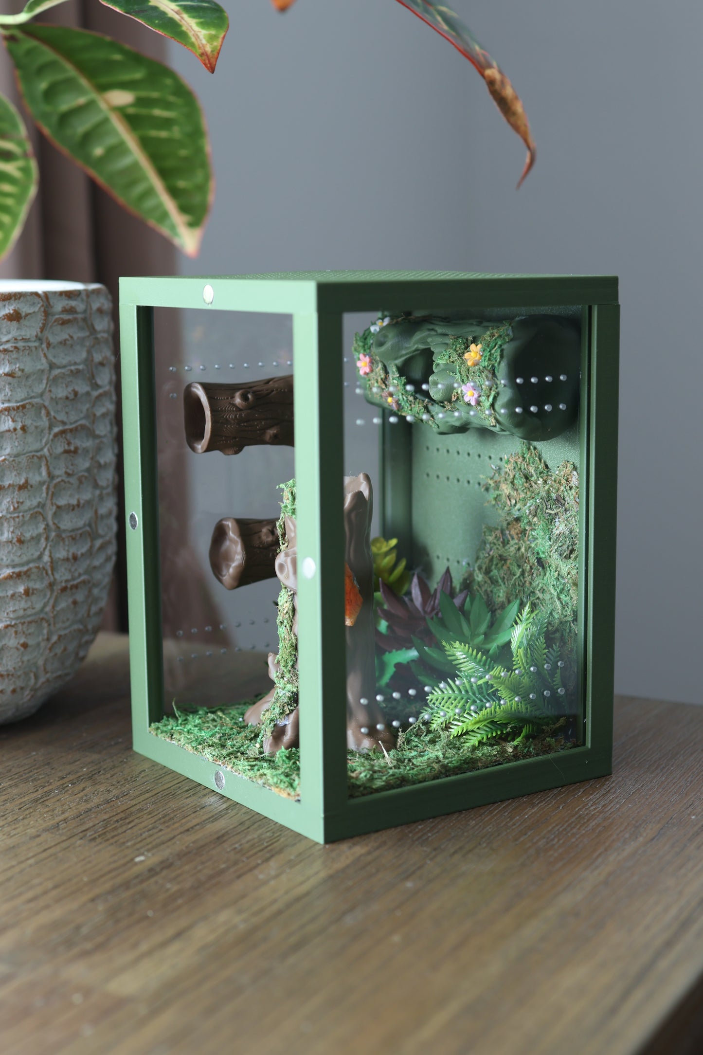 Jumping spider terrarium with natural moss, hideouts, and textured climbing walls – 3D printed