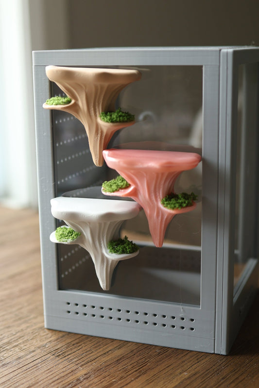 Hanging Mushroom Ledge Jumping Spider For Enclosure jumping spider - Spooder Nook