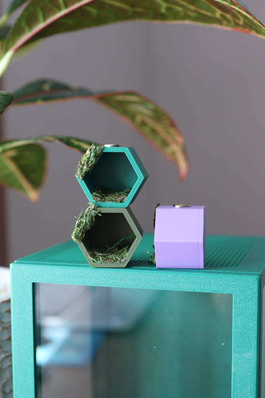 Hex Hide for Jumping Spider With Real Moss - Magnetic Hexagonal Hide - Spider Enclosure Accessory jumping spider - Spooder Nook