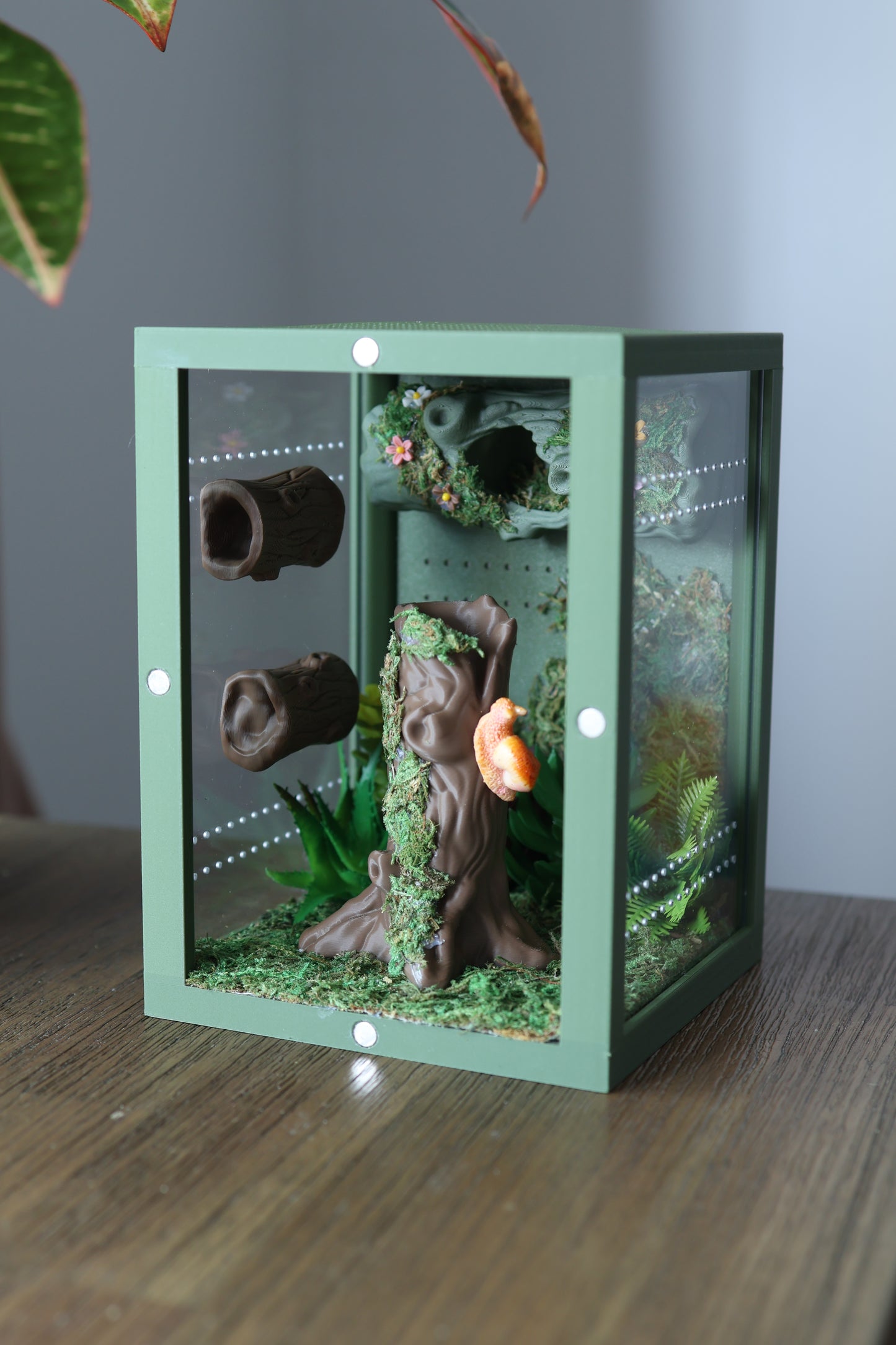 Forest canopy-inspired spider enclosure with ventilation, hideouts, and eco-friendly materials