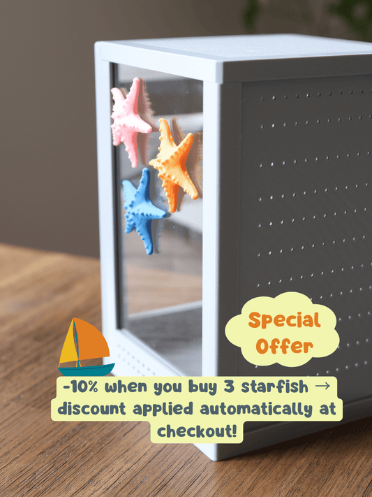 Jumping Spider Enclosure Accessories With Starfish jumping spider - Spooder Nook