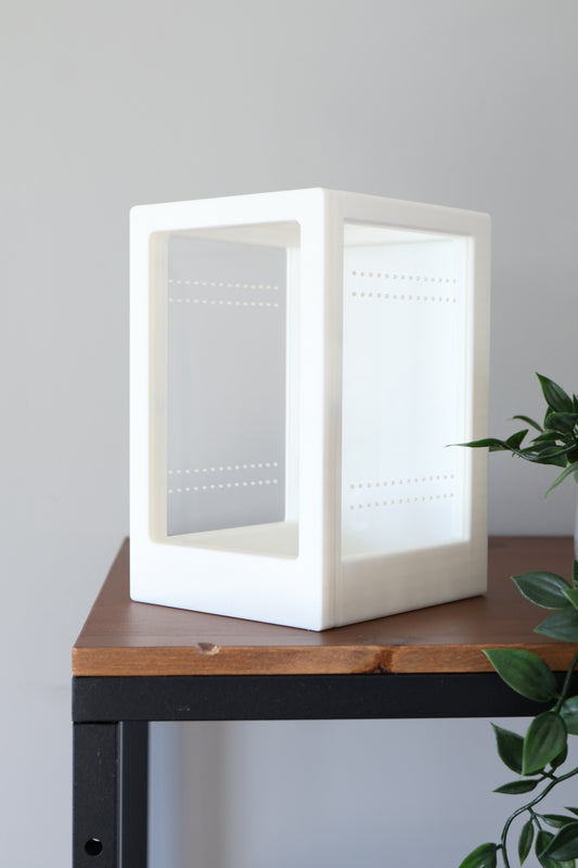 Arboreal spider habitat with safe and practical design