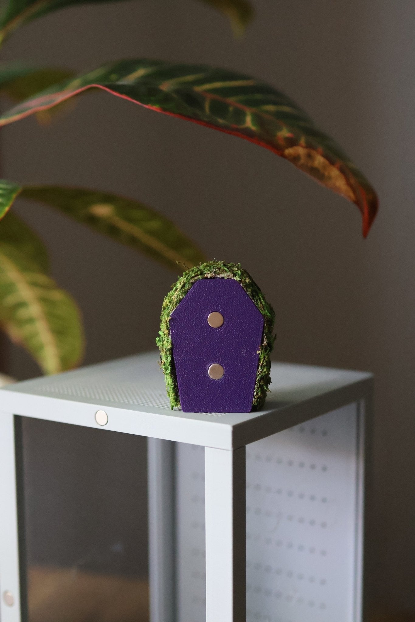 Jumping Spider Hide - Coffin Shape, Magnetic Spooder Decoration jumping spider - Spooder Nook