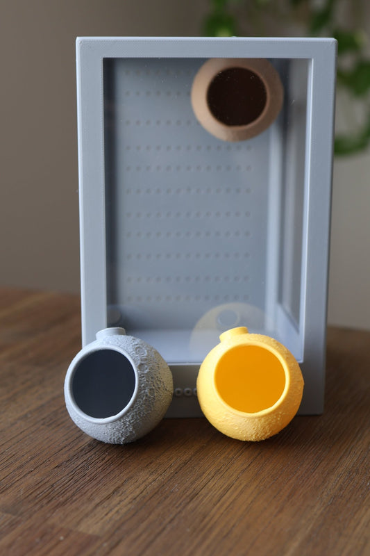 Jumping Spider Hide Magnetic - Moon Shape jumping spider - Spooder Nook