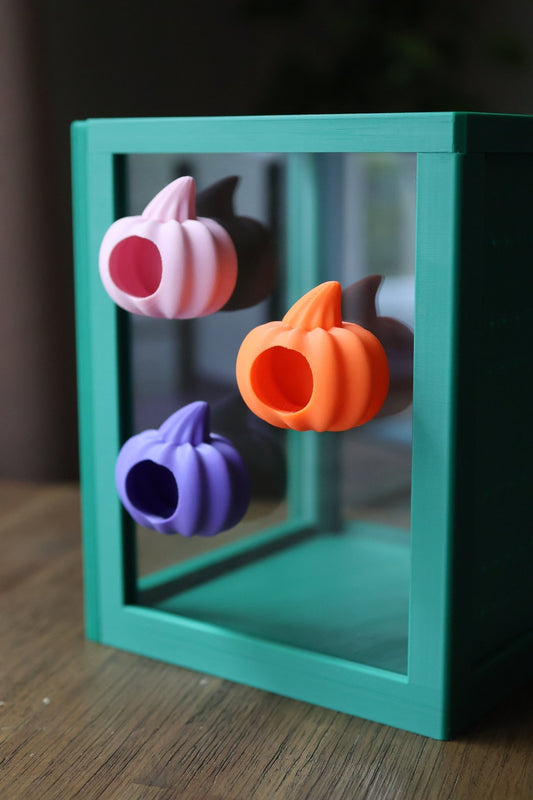 Jumping Spider Hide Magnetic - Pumpkin jumping spider - Spooder Nook