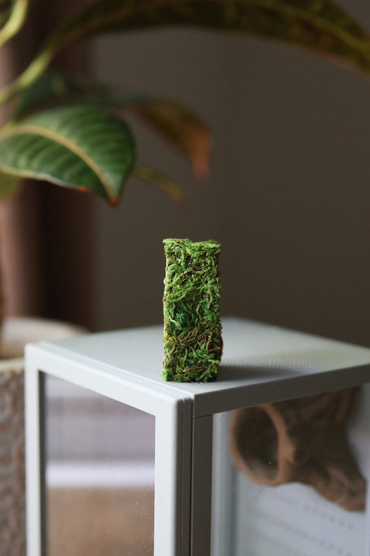 Jumping Spider Hide - Pumpkin Decoration With Natural Moss jumping spider - Spooder Nook