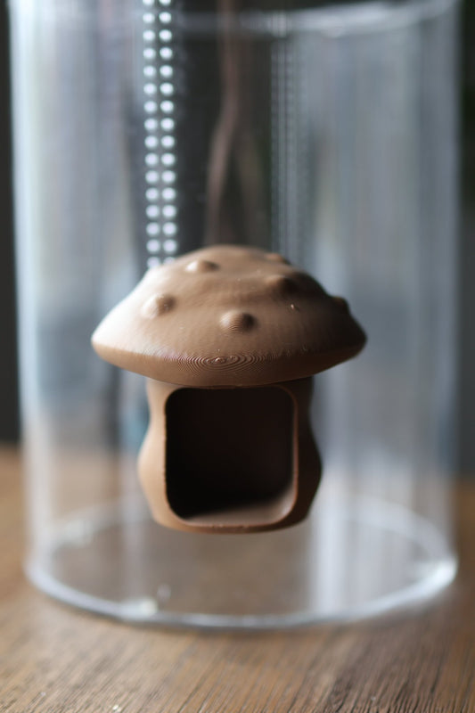 Jumping Spider Magnetic Mushroom Hide – Terrarium Accessory jumping spider - Spooder Nook