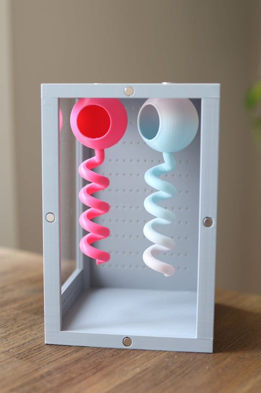 Jumping Spider Round Hide With Spiral jumping spider - Spooder Nook