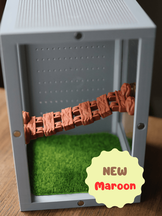 Magnetic Log Bridge Jumping Spider Enclosure jumping spider - Spooder Nook