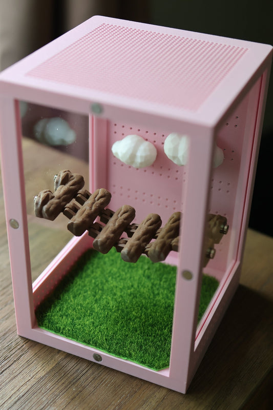 Magnetic Wooden Log Bridge for Jumping Spider jumping spider - Spooder Nook