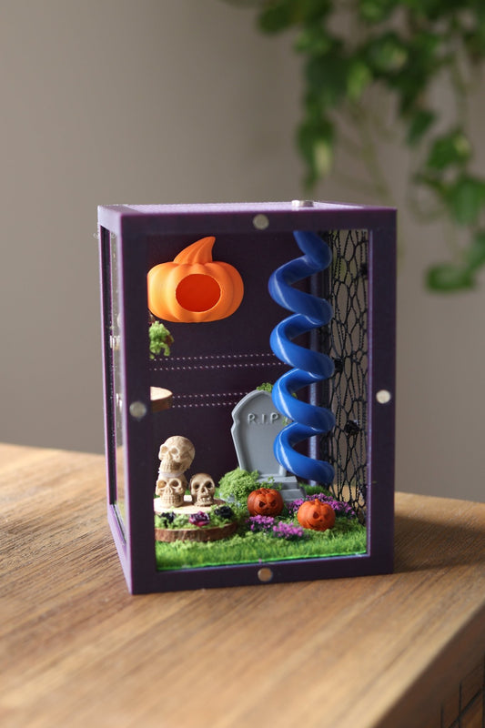 Container for jumping spider with Halloween decor