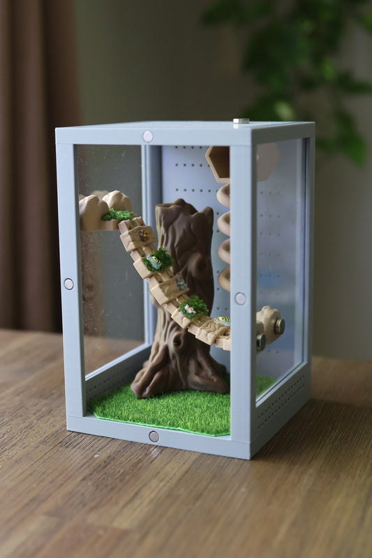 Suspensions Bridge For Jumping Spider Enclosure jumping spider - Spooder Nook