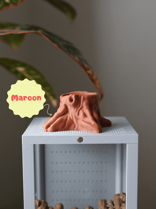 Tree Stump Hideout for Jumping Spider - Arboreal Spider Shelter jumping spider - Spooder Nook