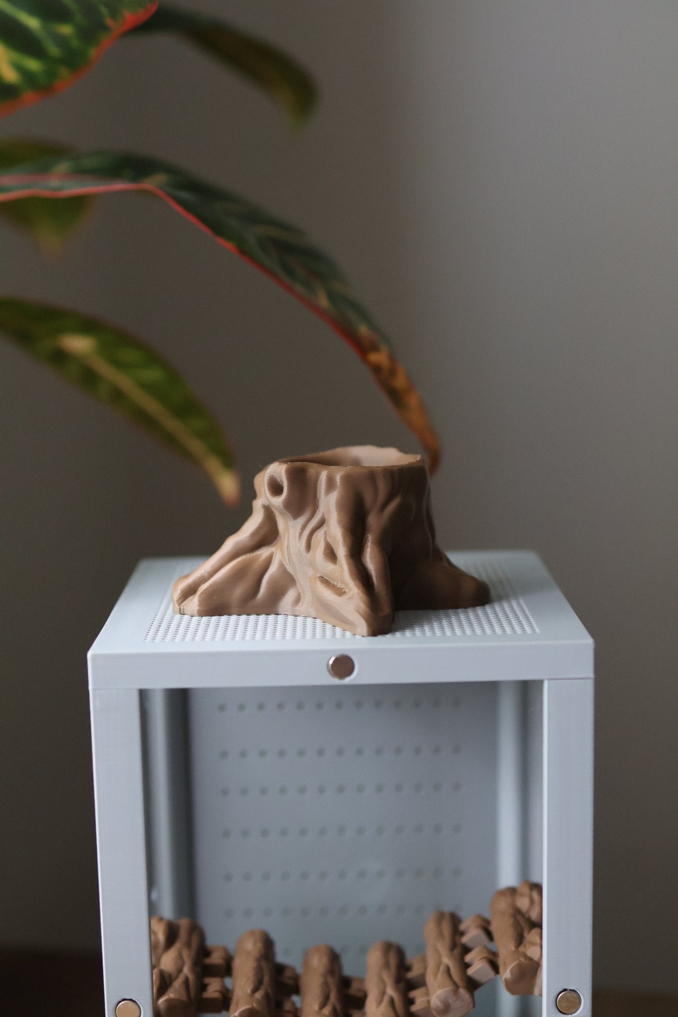 Tree Stump Hideout for Jumping Spider - Arboreal Spider Shelter jumping spider - Spooder Nook