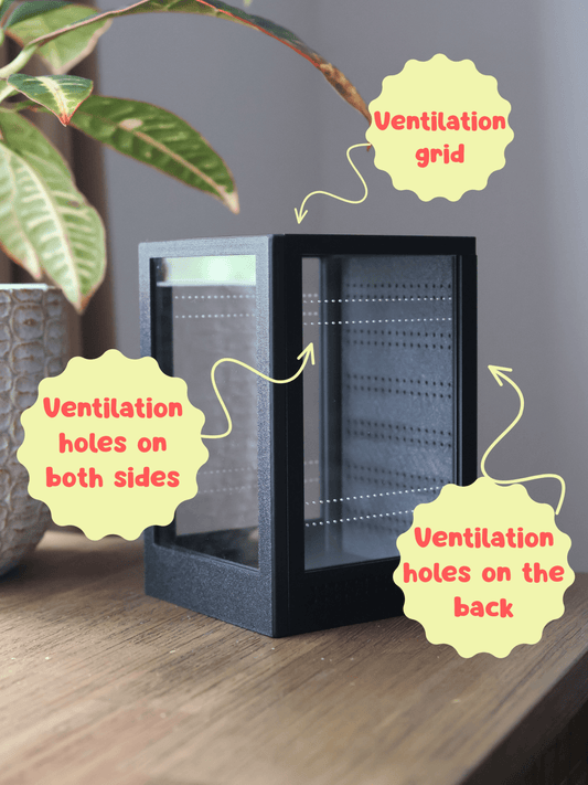 Black spider cage for juvenile tarantulas