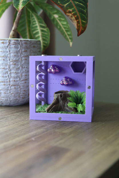Decorated Jumping Spider Houses – Small Custom Habitat with Color Options (4.5x5x5 in)