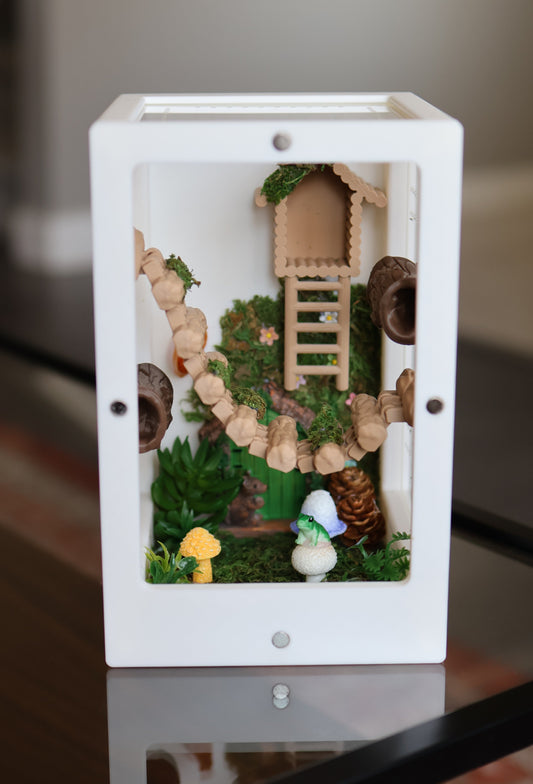 Jumping Spider Enclosure – Nature’s Refuge with Natural Moss