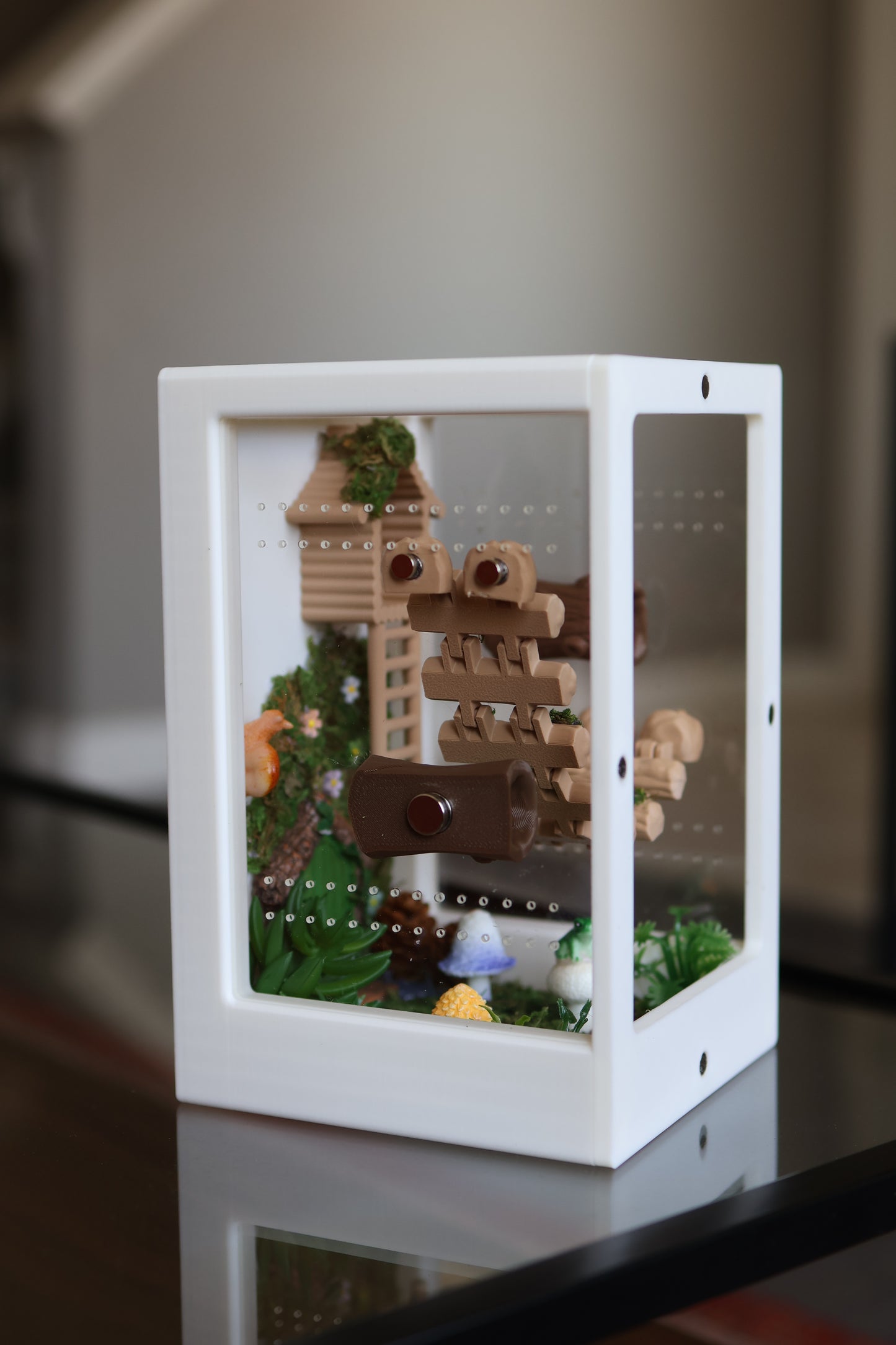Jumping Spider Enclosure – Nature’s Refuge with Natural Moss