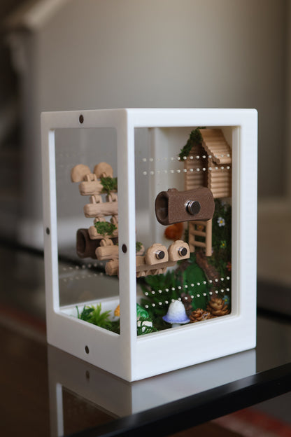 Jumping Spider Enclosure – Nature’s Refuge with Natural Moss