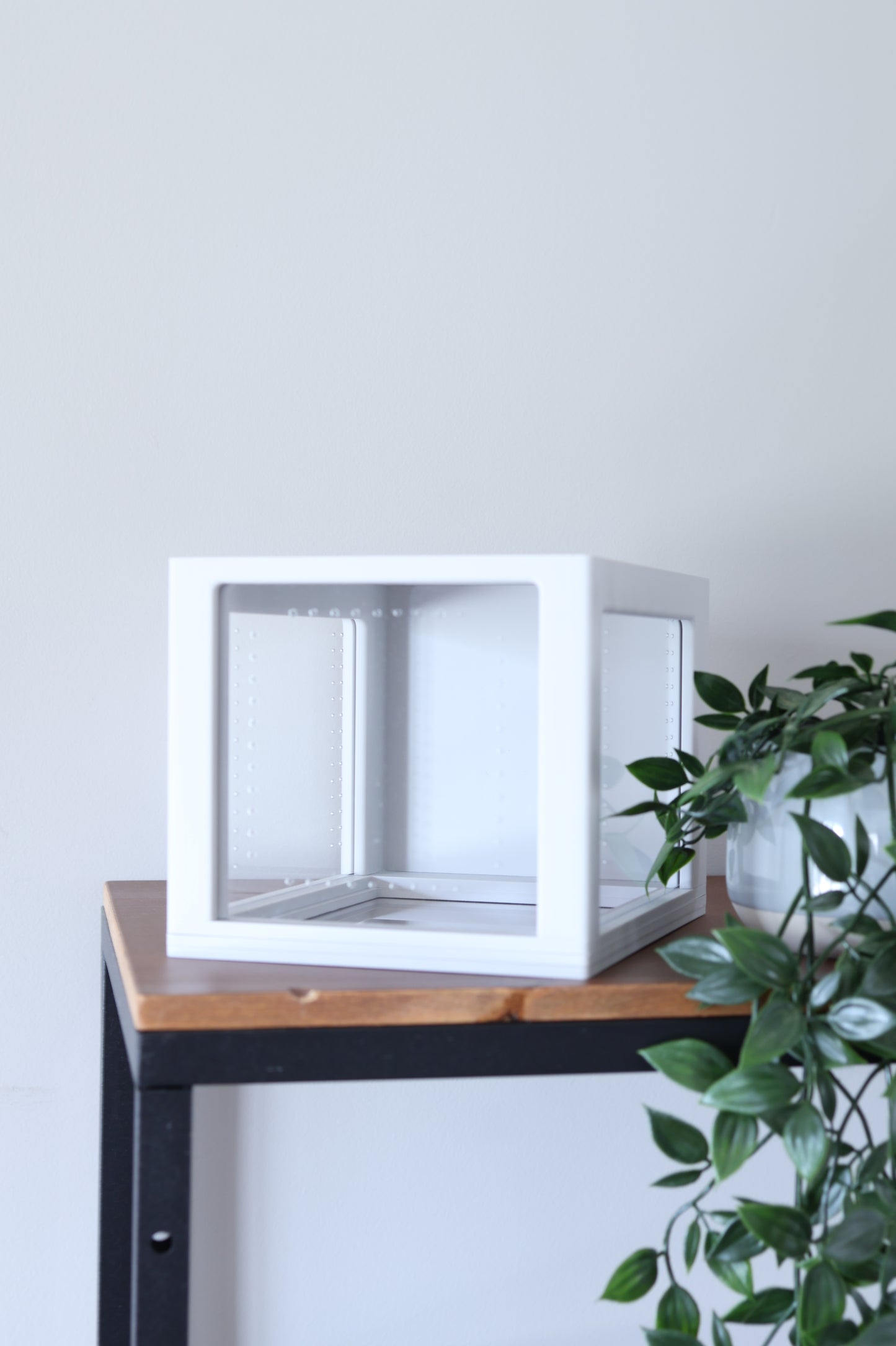 Large Jumping Spider Enclosure 5x6x8 in