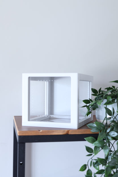 Large Jumping Spider Enclosure 5x6x8 in