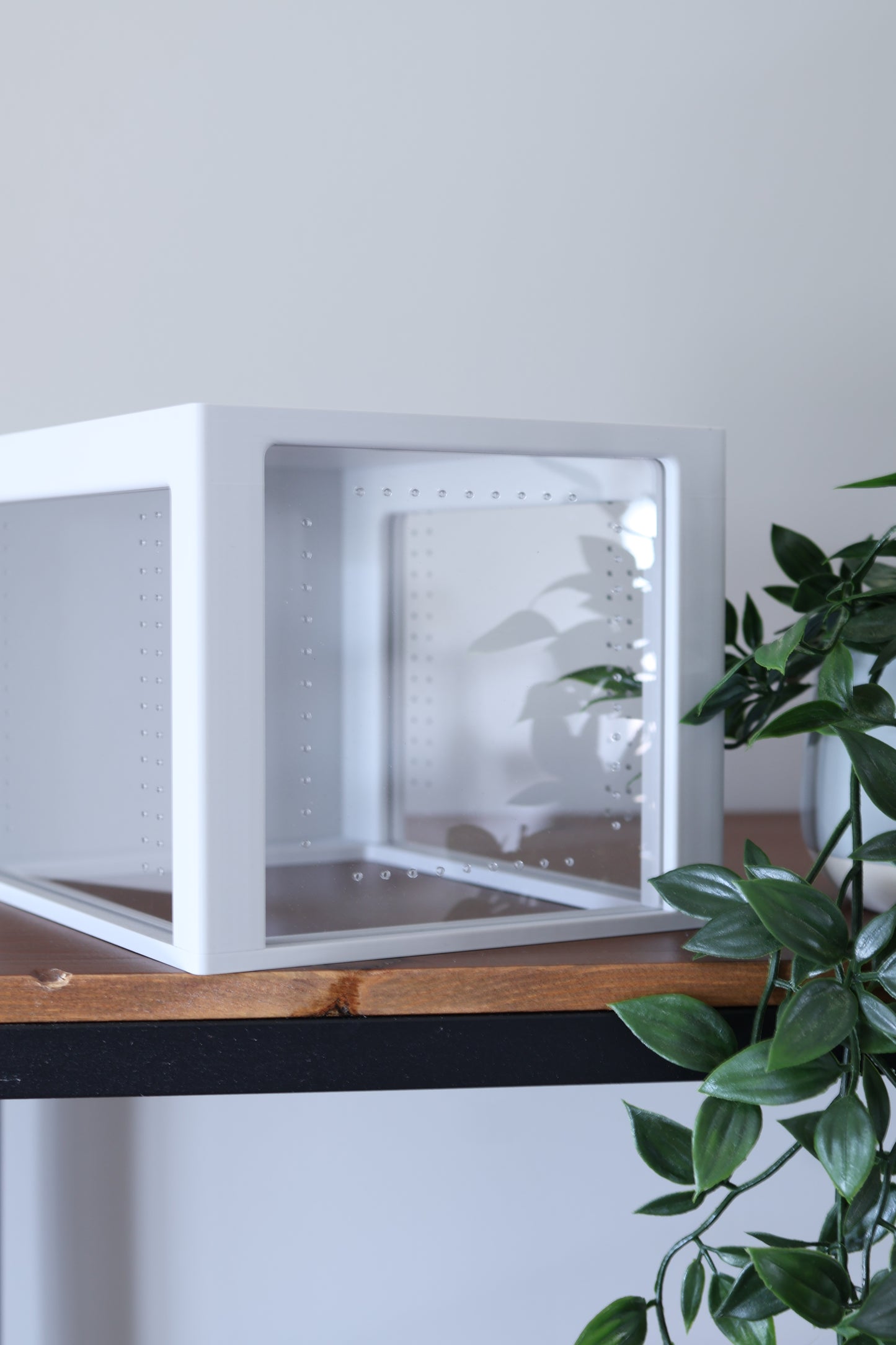 Large Jumping Spider Enclosure 5x6x8 in