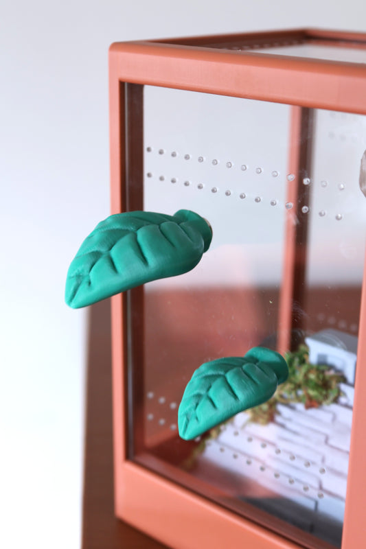 Set Leaf-Shaped Ledges For Jumping Spiders
