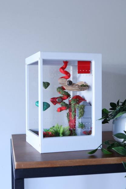 Jumping Spider Enclosure – Urban Jungle - 8.2x5.5x5.5 in