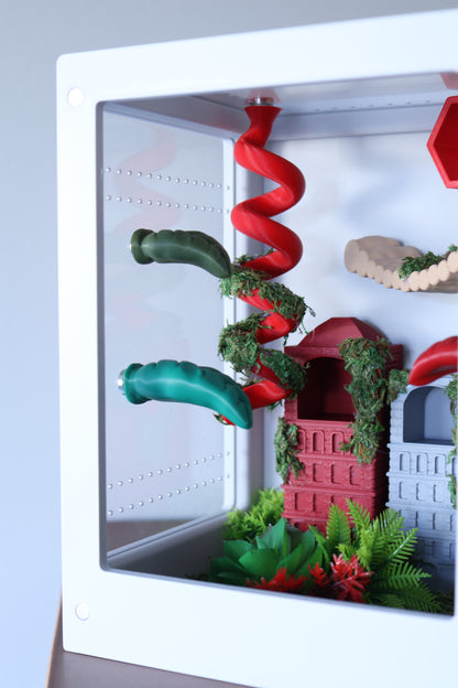 Jumping Spider Enclosure – Urban Jungle - 8.2x5.5x5.5 in