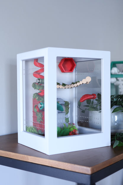 Jumping Spider Enclosure – Urban Jungle - 8.2x5.5x5.5 in