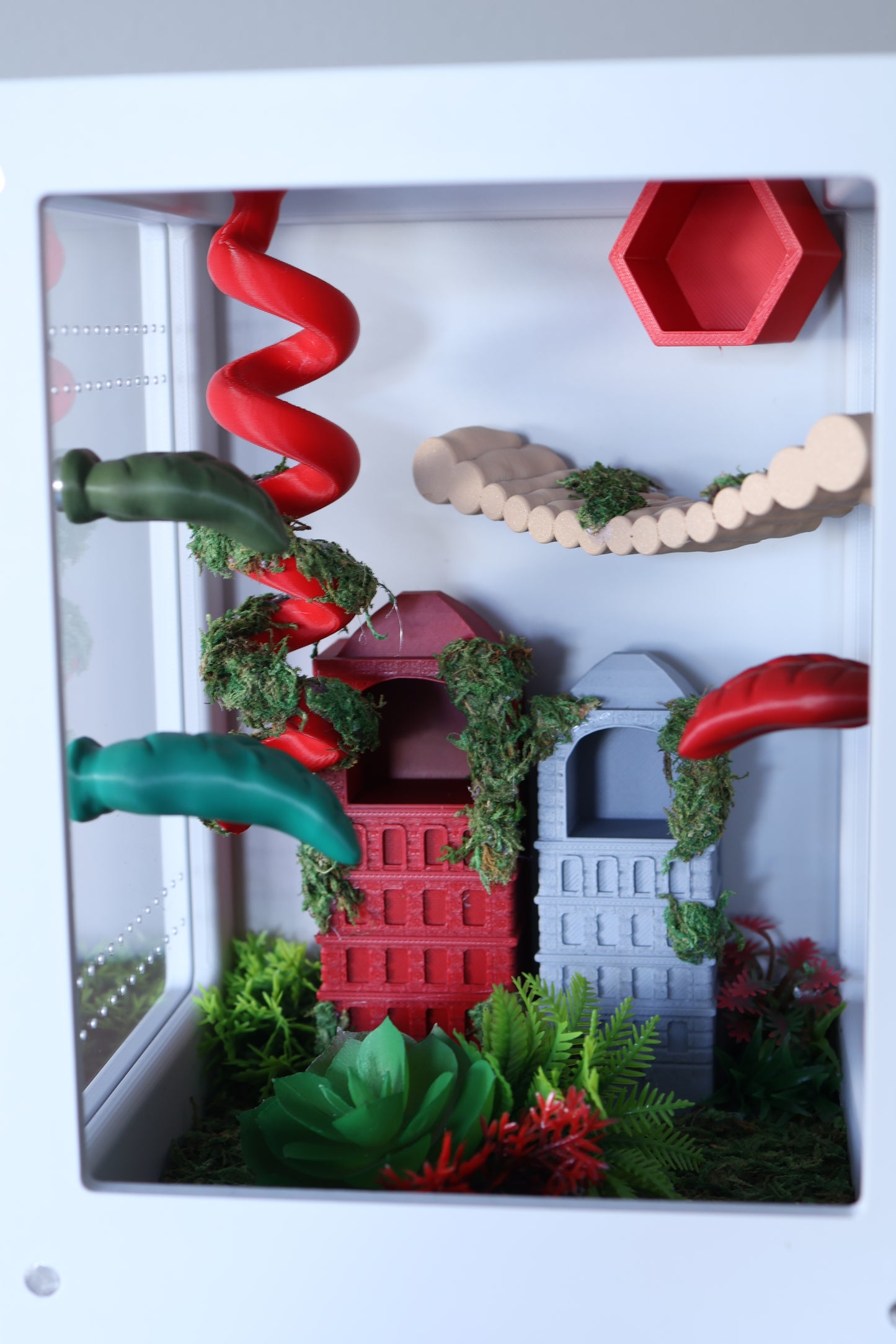 Jumping Spider Enclosure – Urban Jungle - 8.2x5.5x5.5 in