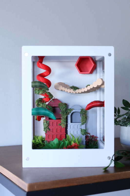 Jumping Spider Enclosure – Urban Jungle - 8.2x5.5x5.5 in