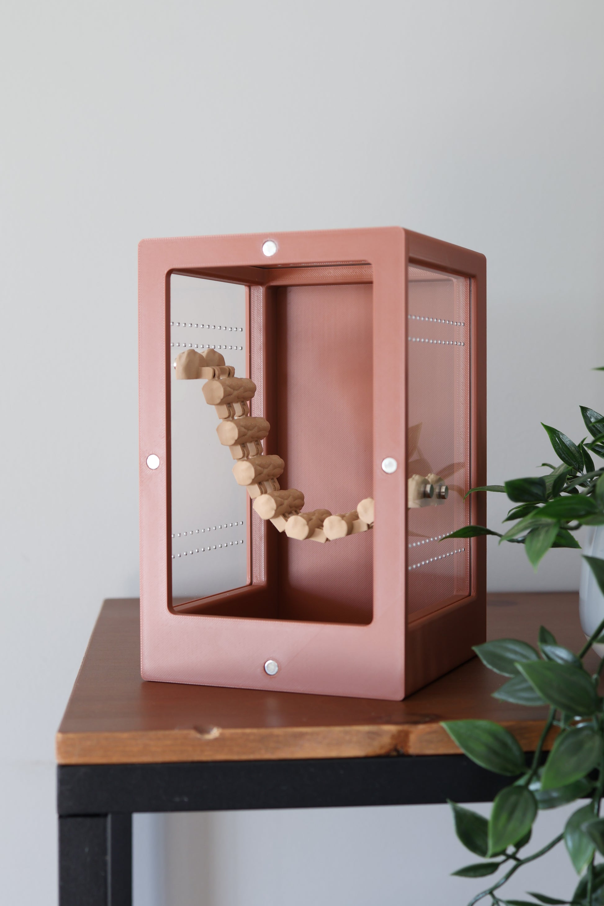 Jumping spider enclosure with interior bridge for climbing