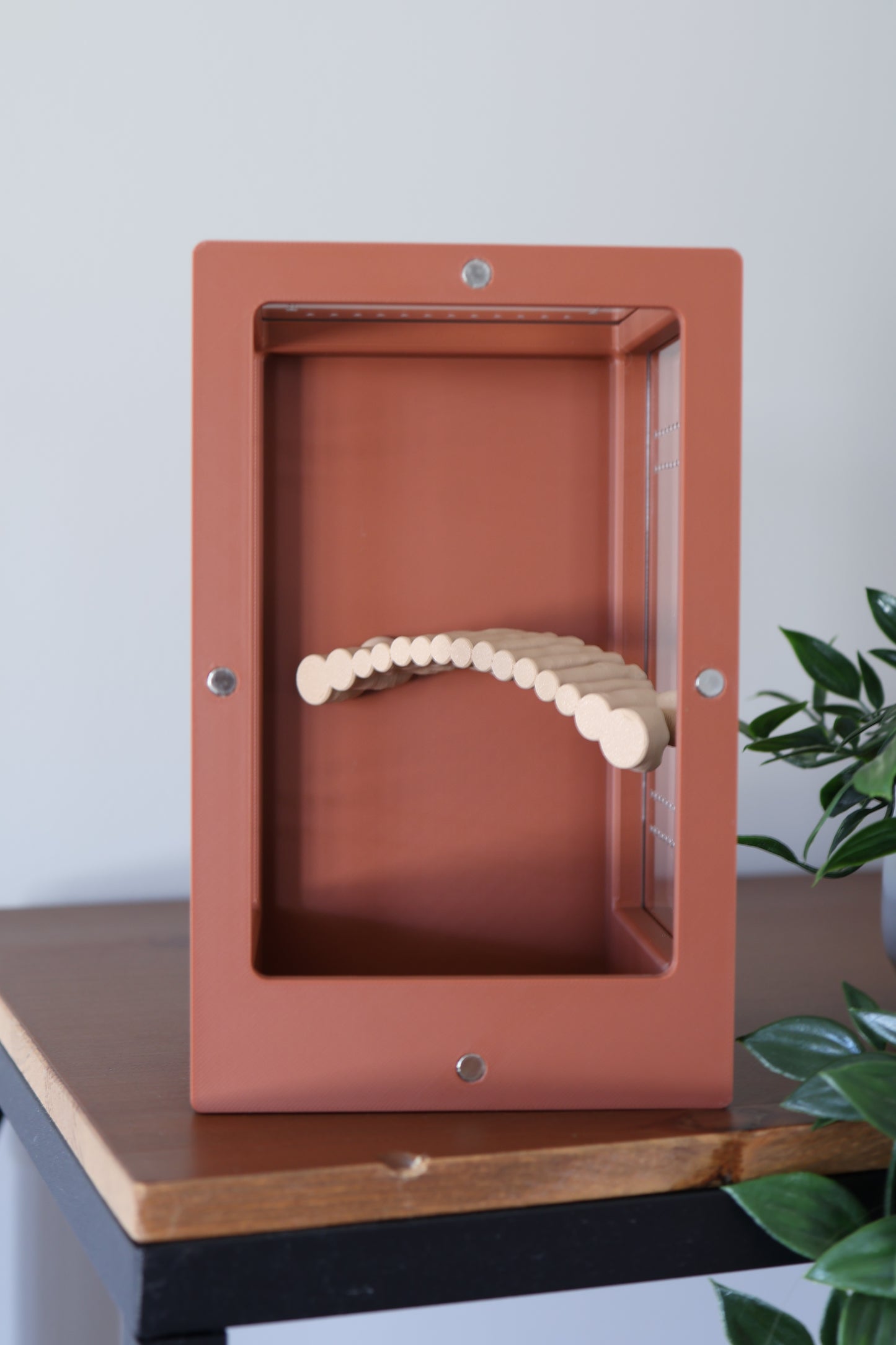Corner bridge for jumping spider enclosure, 3D printed, safe and non-toxic accessory for spider habitat