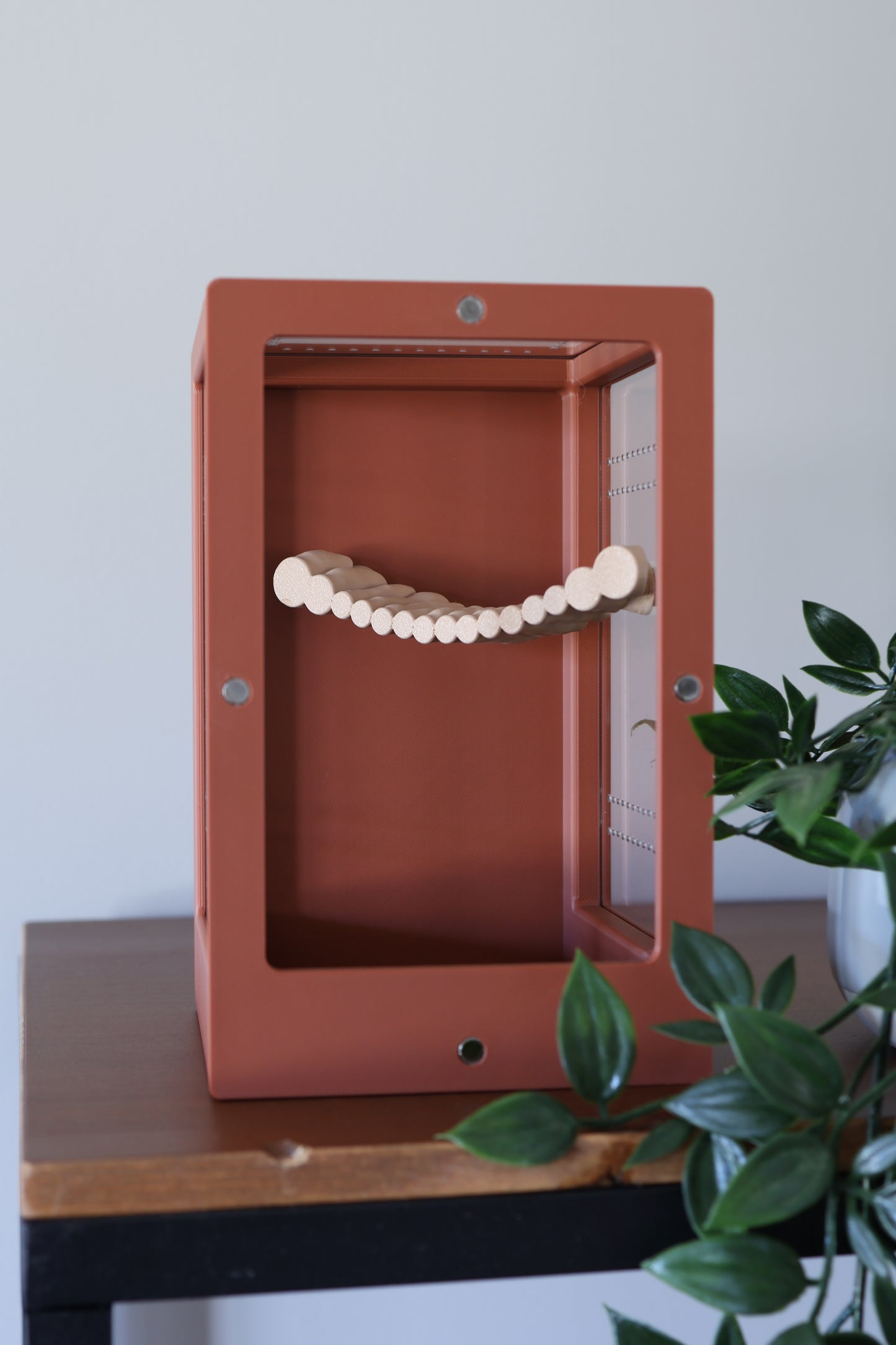 Corner bridge for jumping spider positioned vertically to encourage exploration and natural behavior