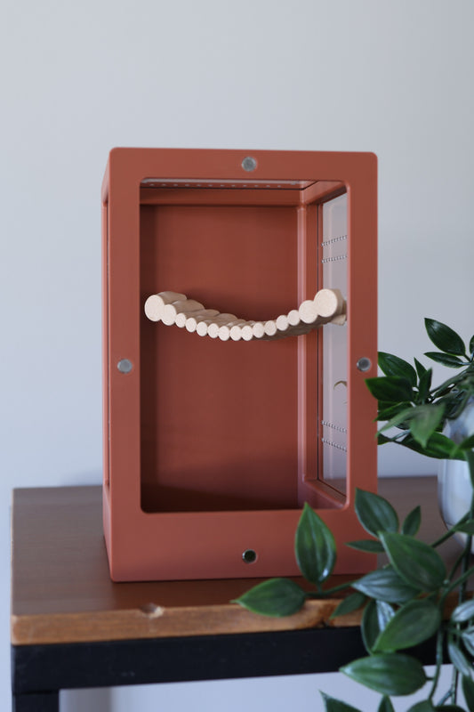 Corner bridge for jumping spider positioned vertically to encourage exploration and natural behavior