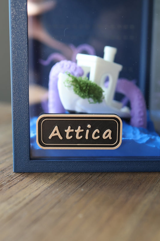 Custom Enclosure Name Tag – 3D Printed jumping spider - Spooder Nook