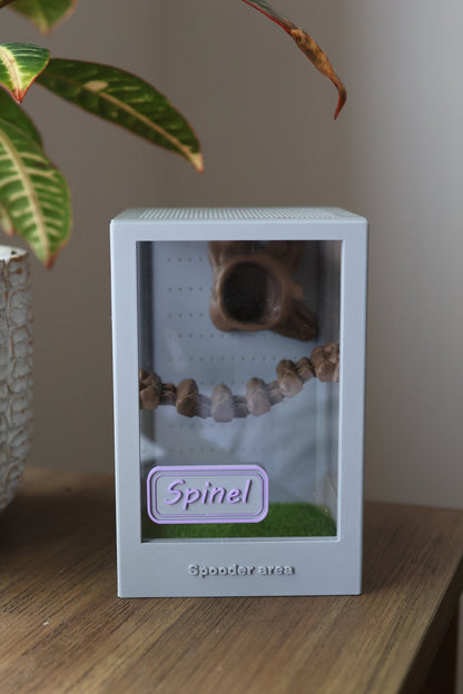 Custom Enclosure Name Tag – 3D Printed jumping spider - Spooder Nook