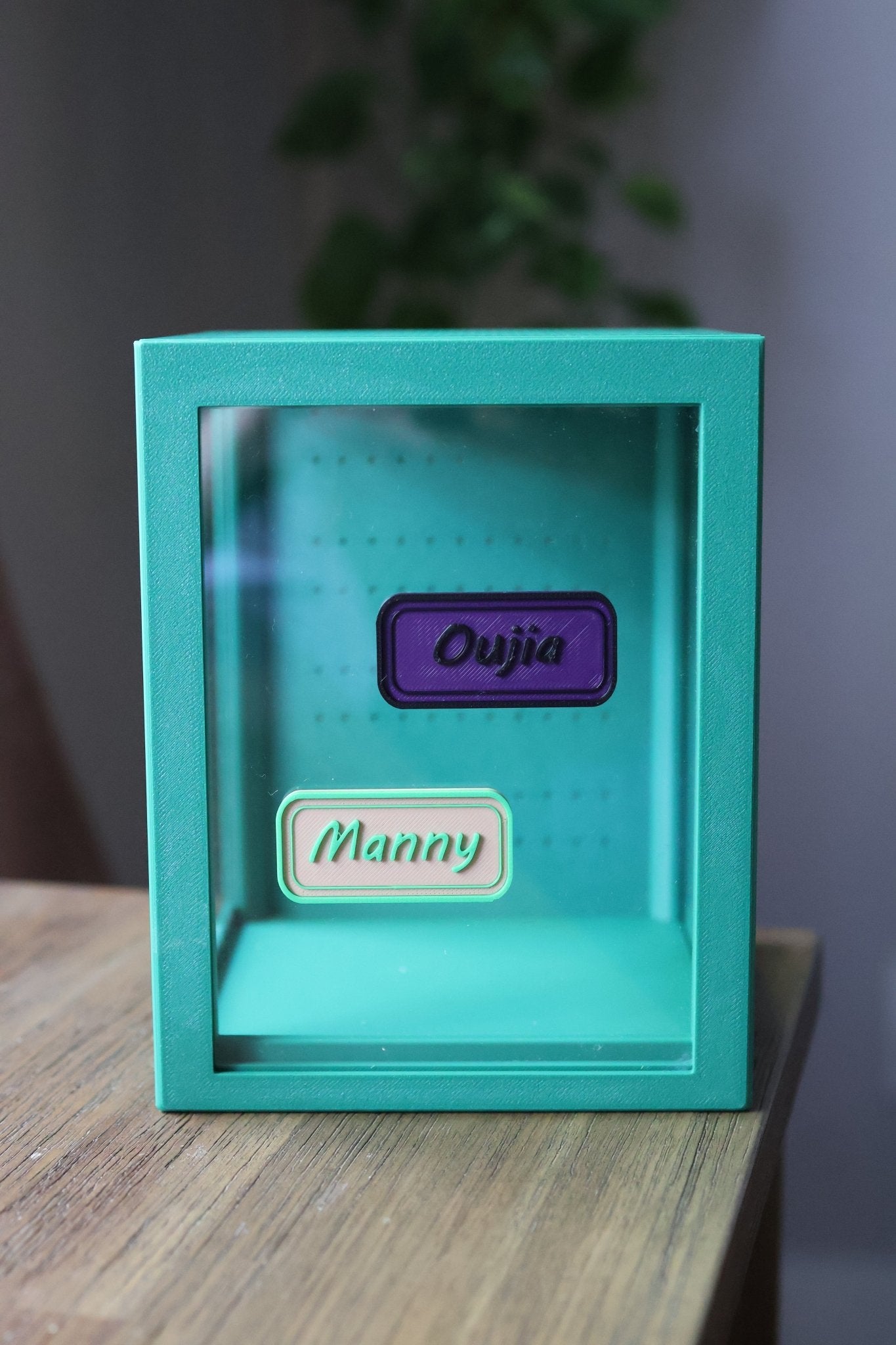 Custom Enclosure Name Tag – 3D Printed jumping spider - Spooder Nook