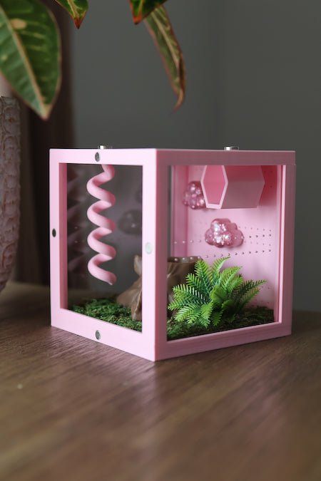 Complete kit enclosure for juvenile jumping spider