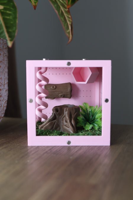 Decorated Jumping Spider Terrarium  - Spooder Nook