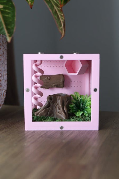 Decorated Jumping Spider Terrarium  - Spooder Nook