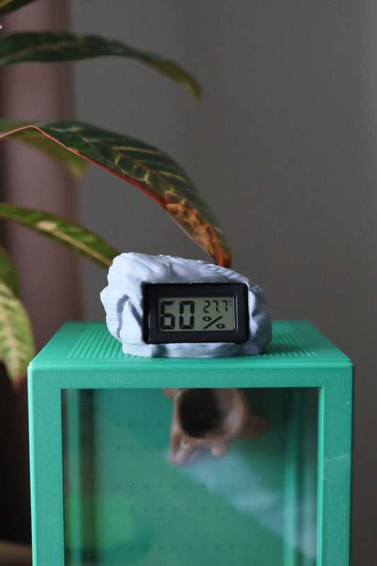 Decorative Rock Hygrometer For Terrariums (Spiders, Reptiles, Insects) jumping spider - Spooder Nook
