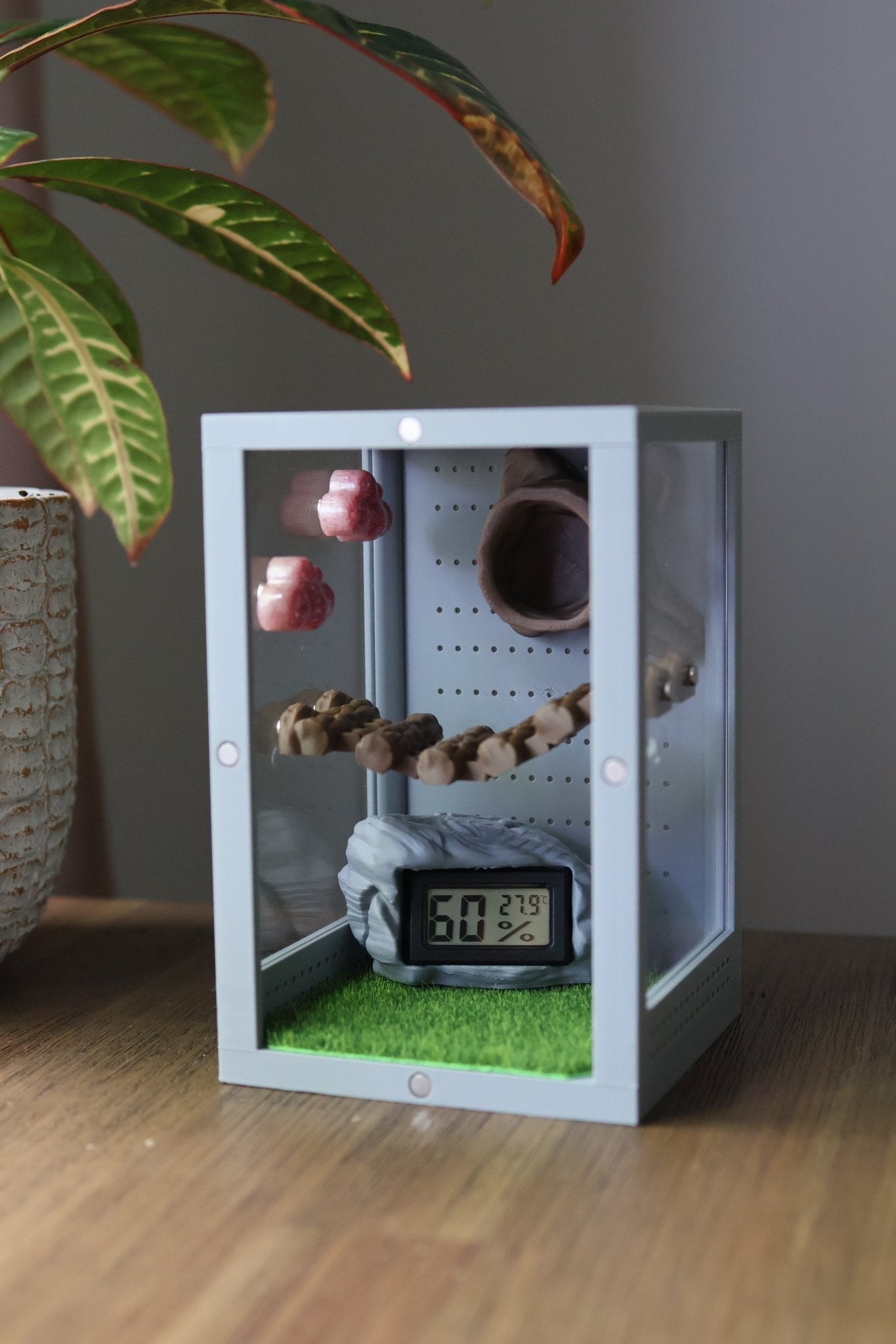Decorative Rock Hygrometer For Terrariums (Spiders, Reptiles, Insects) jumping spider - Spooder Nook