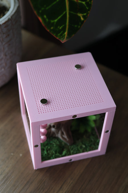 Grid of ventilation juvenile spider habitat - SpooderNook